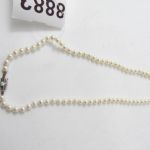 673 8882 PEARL NECKLACE